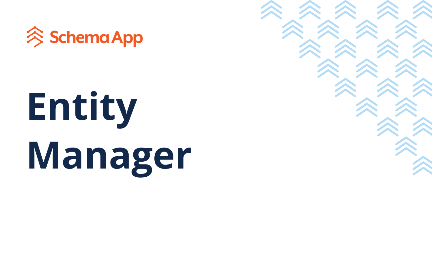 Entity Manager | Schema App Solutions